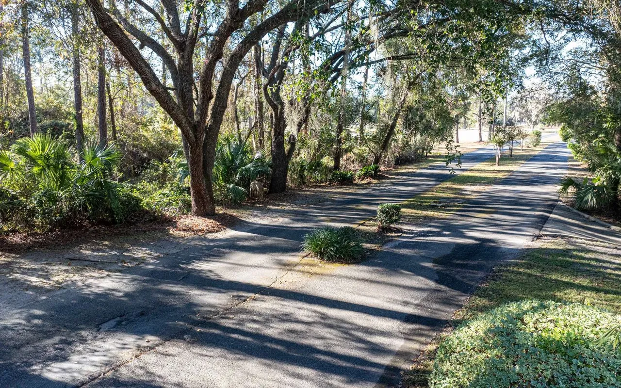 Tree-lined streets